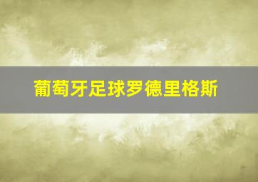 葡萄牙足球罗德里格斯