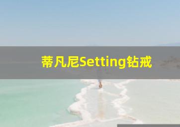 蒂凡尼Setting钻戒