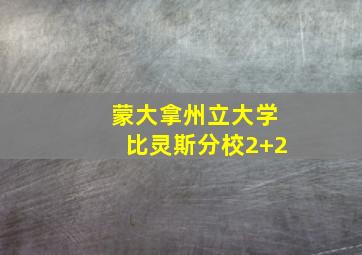 蒙大拿州立大学比灵斯分校2+2