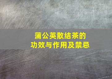 蒲公英散结茶的功效与作用及禁忌