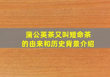 蒲公英茶又叫短命茶的由来和历史背景介绍