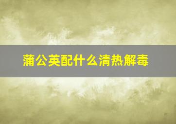 蒲公英配什么清热解毒