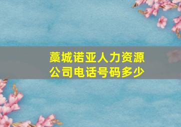 藁城诺亚人力资源公司电话号码多少