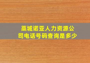 藁城诺亚人力资源公司电话号码查询是多少