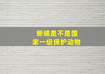 蜥蜴是不是国家一级保护动物