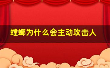 螳螂为什么会主动攻击人