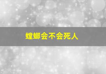 螳螂会不会死人