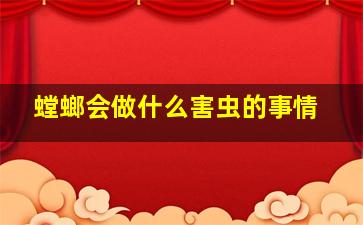 螳螂会做什么害虫的事情