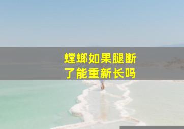 螳螂如果腿断了能重新长吗