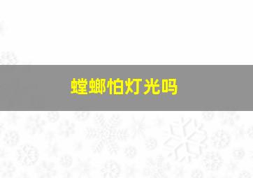 螳螂怕灯光吗