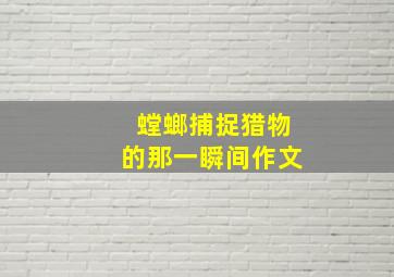 螳螂捕捉猎物的那一瞬间作文