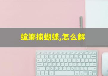 螳螂捕蝴蝶,怎么解