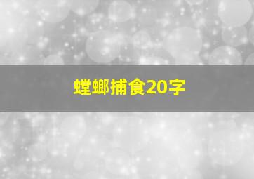 螳螂捕食20字