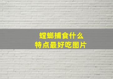 螳螂捕食什么特点最好吃图片