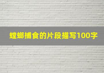 螳螂捕食的片段描写100字