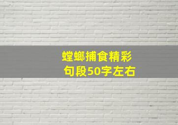 螳螂捕食精彩句段50字左右