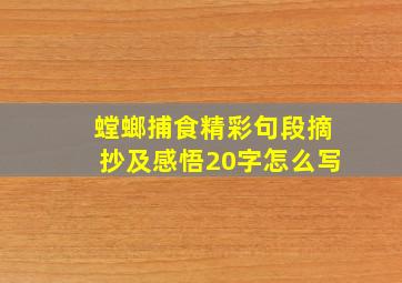 螳螂捕食精彩句段摘抄及感悟20字怎么写