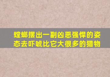 螳螂摆出一副凶恶强悍的姿态去吓唬比它大很多的猎物