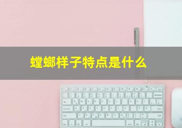 螳螂样子特点是什么