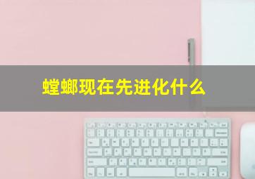 螳螂现在先进化什么