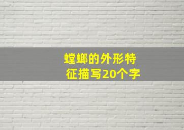 螳螂的外形特征描写20个字