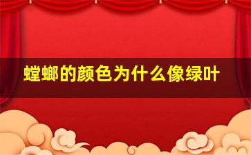 螳螂的颜色为什么像绿叶