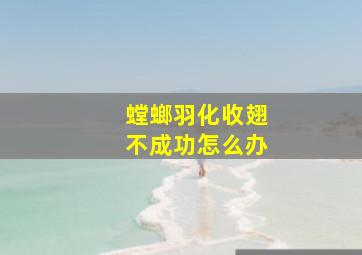 螳螂羽化收翅不成功怎么办