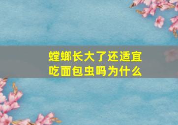 螳螂长大了还适宜吃面包虫吗为什么