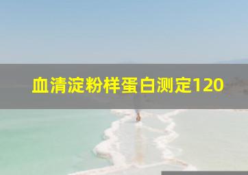 血清淀粉样蛋白测定120