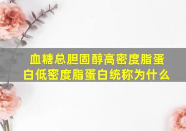 血糖总胆固醇高密度脂蛋白低密度脂蛋白统称为什么