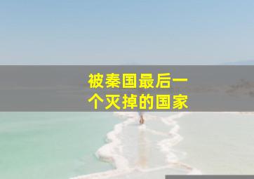 被秦国最后一个灭掉的国家