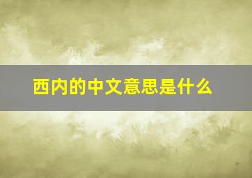 西内的中文意思是什么