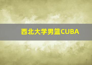 西北大学男篮CUBA