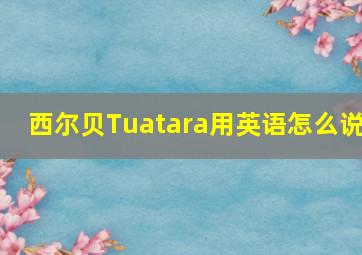 西尔贝Tuatara用英语怎么说