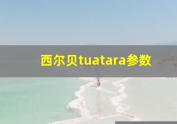 西尔贝tuatara参数