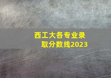 西工大各专业录取分数线2023