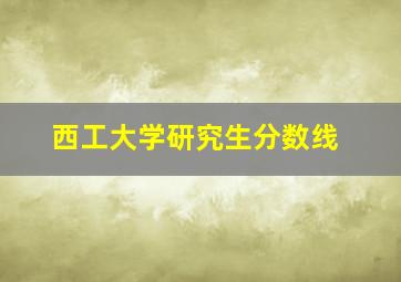 西工大学研究生分数线