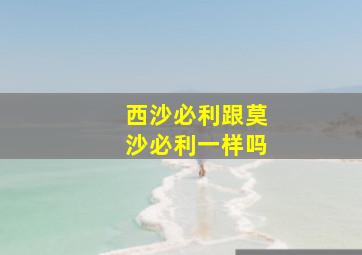 西沙必利跟莫沙必利一样吗