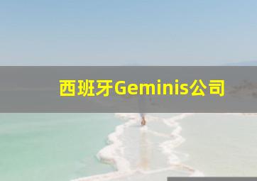 西班牙Geminis公司