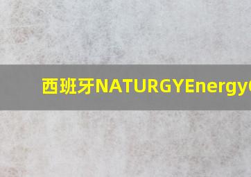 西班牙NATURGYEnergyGroup