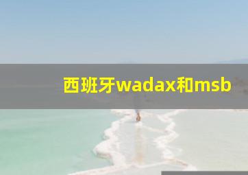 西班牙wadax和msb