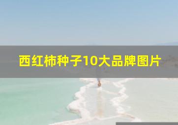 西红柿种子10大品牌图片