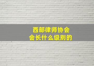 西部律师协会会长什么级别的