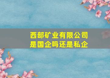 西部矿业有限公司是国企吗还是私企