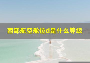 西部航空舱位d是什么等级