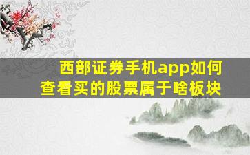 西部证券手机app如何查看买的股票属于啥板块