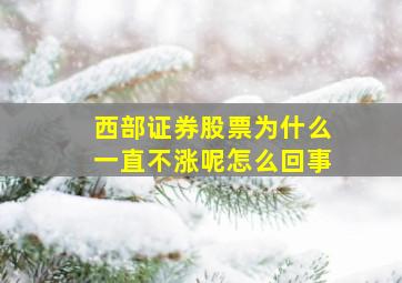 西部证券股票为什么一直不涨呢怎么回事