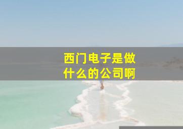 西门电子是做什么的公司啊