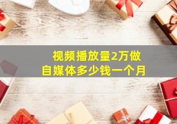 视频播放量2万做自媒体多少钱一个月