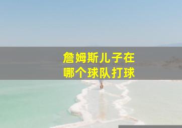 詹姆斯儿子在哪个球队打球